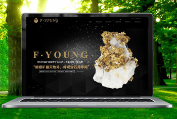 ���ݸ������ﱦʯ